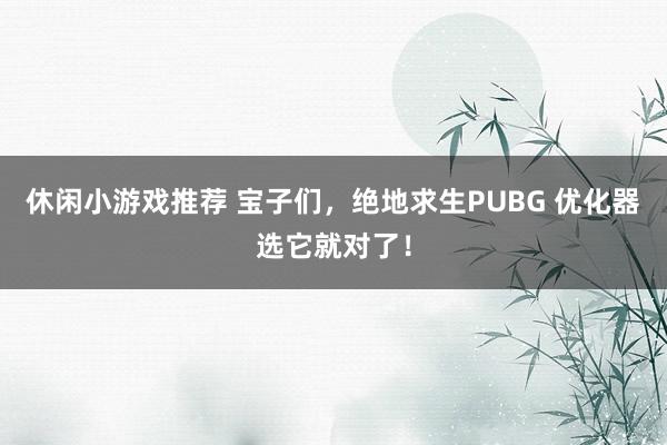 休闲小游戏推荐 宝子们，绝地求生PUBG 优化器选它就对了！